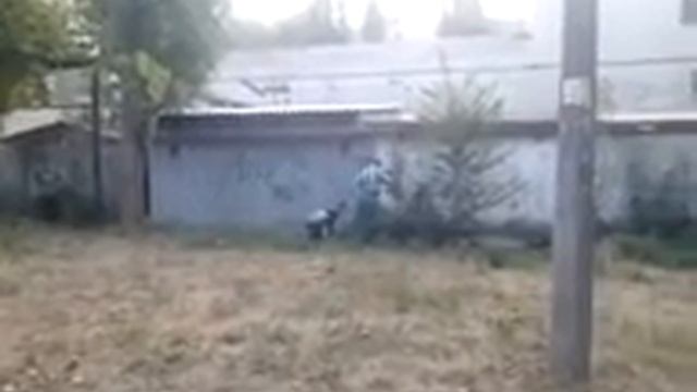 Доминирование и подчинение по николаевски смотреть онлайн