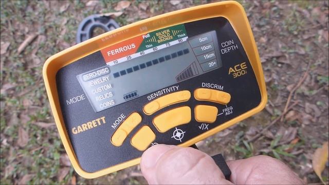 Garrett ACE 300i Demonstration