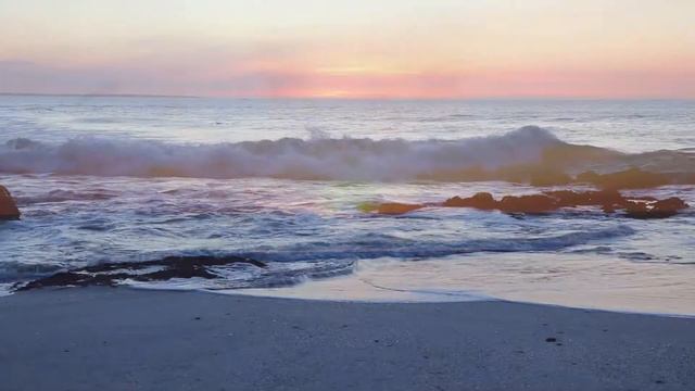 Rollercoaster - Elizabeth & Jan-Pieter Otto
