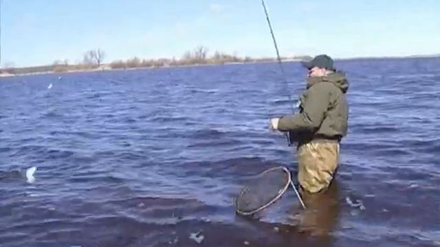 005 Рыбинское вдхрплотва,лещ смотреть онлайн