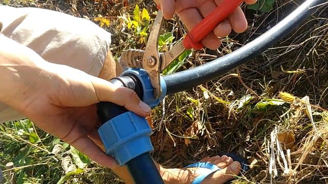 Fitting a drip feed irrigation system in the veg patch...with digger action! смотреть онлайн