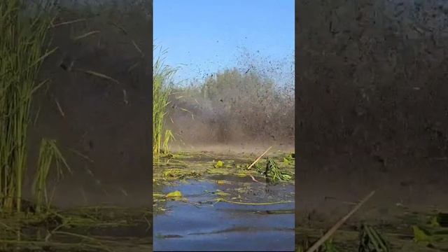 Золото Жигулей! Скоро! смотреть онлайн