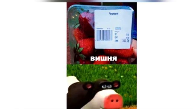 Мемы 🤩🤩😎🥳 Я понимаю их долго не было смотреть онлайн