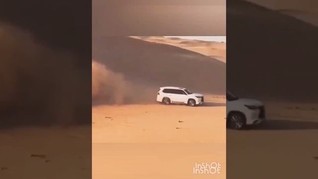 Сафари в пустыне. ОАЭ. DUBAI. апрель 2021. смотреть онлайн