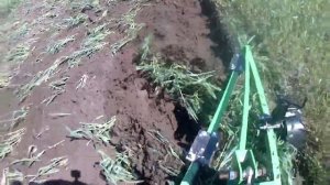 Кентавр Т-244 и плуг ПТ-225 запахиваю рожь.