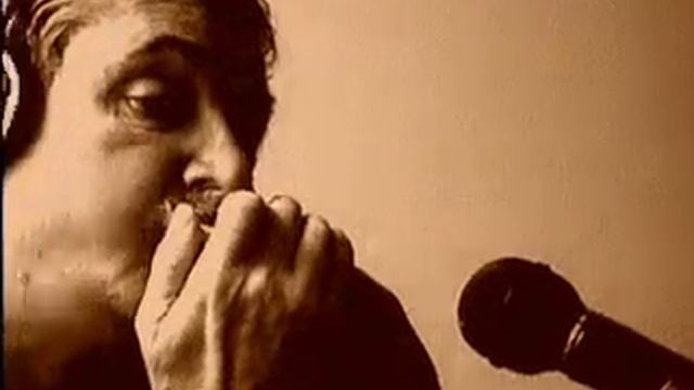 While my guitar gently weeps (The Beatles) - Harmonica смотреть онлайн