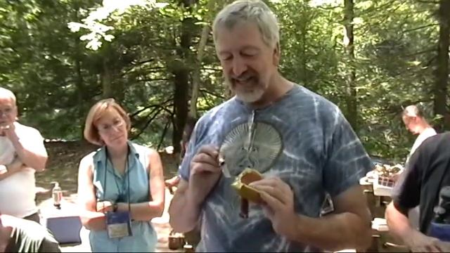 Foraging, Boletus sensibilis and Boletus bicolor смотреть онлайн