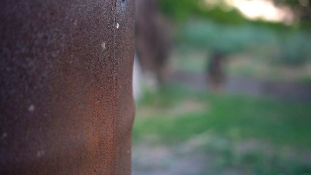 Test Sony a6500/35-1.8 (Казахстан, Актюбинская область, с. Пятигорка) смотреть онлайн