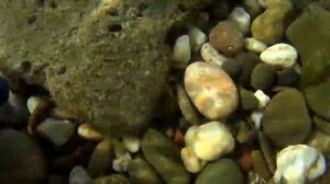 Находки на дне Черного моря. Нашел золотое кольцо