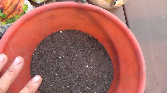 Картофельная рапсодия. 2 этап. смотреть онлайн