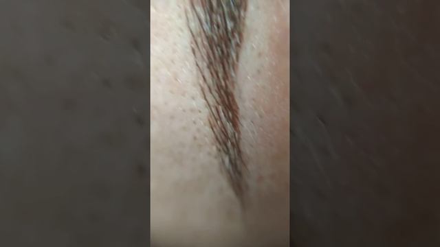 Макросъёмка микроблейдинг PhiBrows смотреть онлайн