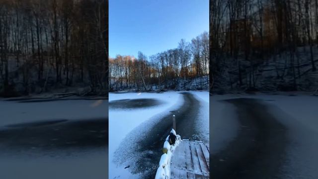 Гостевой дом на реке, как зона для барбекю и место хранения водной техники. Элитная недвижимость смотреть онлайн