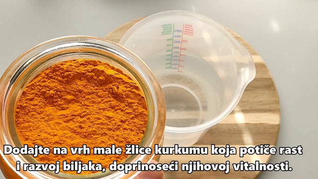 Samo 1 šalica i cvijeće poludi od toliko latica! Predivan vrt! смотреть онлайн