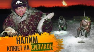 С полем!: «Налим клюёт на силикон»