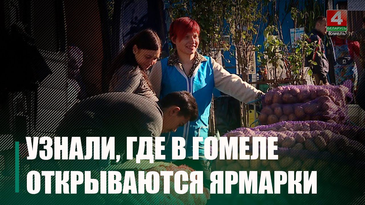 В Гомеле начали работу ярмарки выходного дня смотреть онлайн