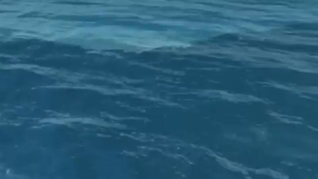 Волны, море, вода смотреть онлайн