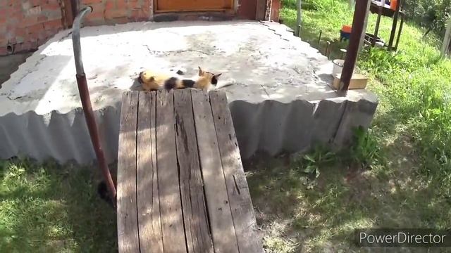 Наша новая ступенька и крыльцо. Поручень уже готов, но не приварен.Vlog.Брест