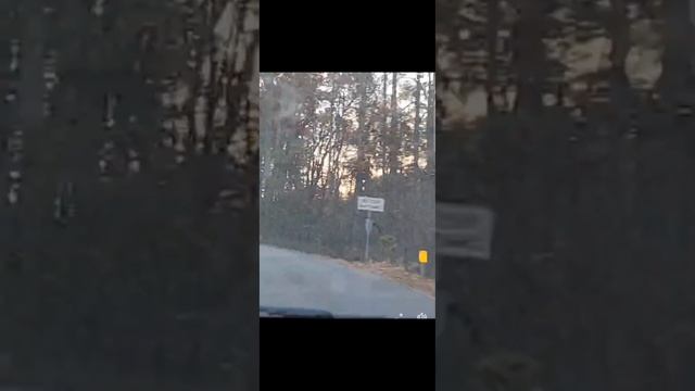 BEAUTIFUL SIGHT ON WAY TO WORK смотреть онлайн