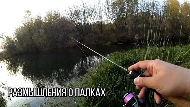 Где осенний трофей? Рыбалка на микроречке. смотреть онлайн