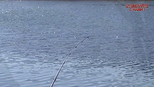 Свияга как всегда радует. Приучаем молодое поколение к рыбалке. Лещ, Синец на фидер. смотреть онлайн