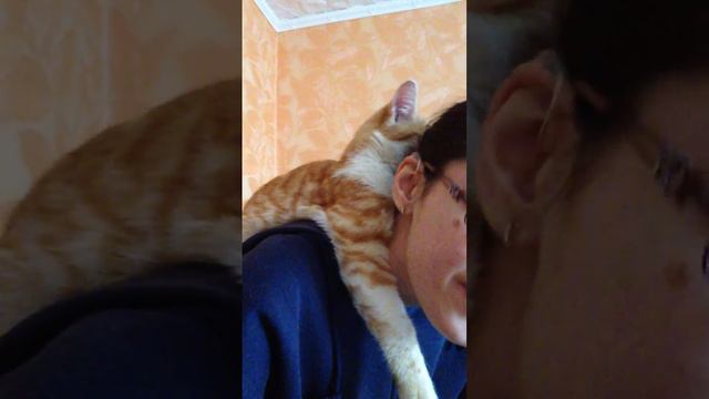 Кот Лева любит хозяйку 2 часть смотреть онлайн