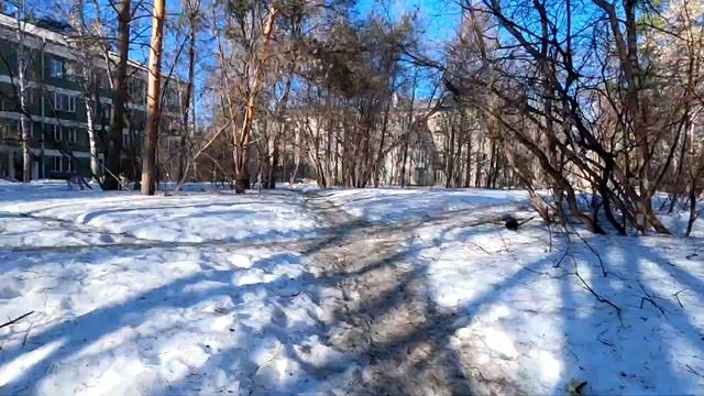 Улицы Академ городка Новосибирск смотреть онлайн