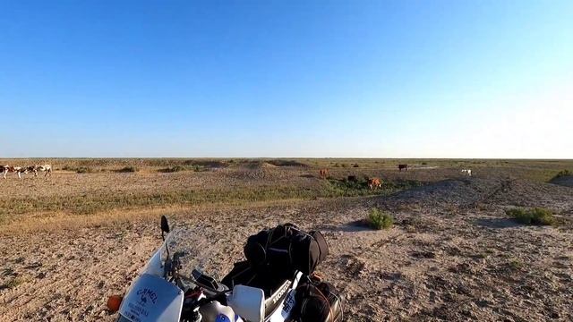 0 Старт дан, утро после первой ночевки в степи | Путешествие по Грузии