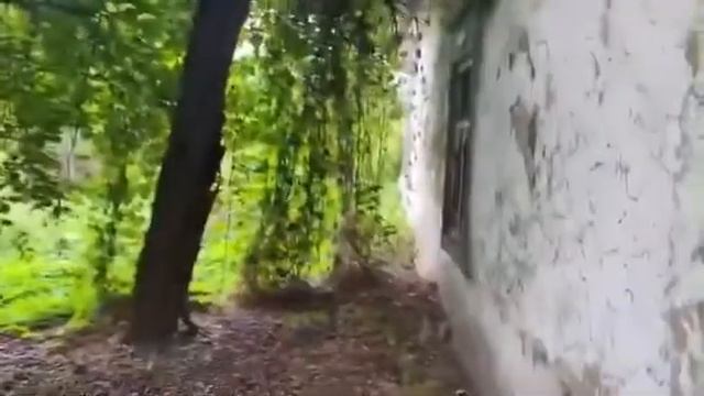 Ужасно как это можно довести состояние коммерческого комплекса до такого.Осторожнее с такими людьми смотреть онлайн