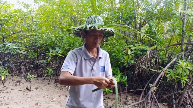 Одне із 7 природніх чудес СВІТУ | Дика фауна джунглів | Мангрові ліси (feat. Пітятко) • ⛰️Сабанг #6 смотреть онлайн