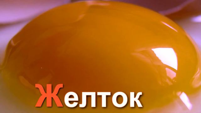 Учим алфавит, буква Ж. Развивающее видео смотреть онлайн