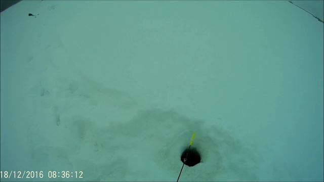 КОМАНДА FISHING PROZA COРЕВНОВАНИЕ ПОЛОСАТЫЙ РАЗБОЙНИК 2016 смотреть онлайн