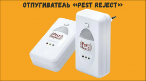 Ультразвуковой ОТПУГИВАТЕЛЬ Грызунов и Насекомых. Обзор. Отзывы