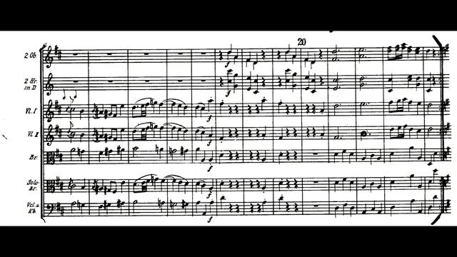Carl Ditters von Dittersdorf - Sinfonia Concertante for Double Bass and Viola - Score смотреть онлайн