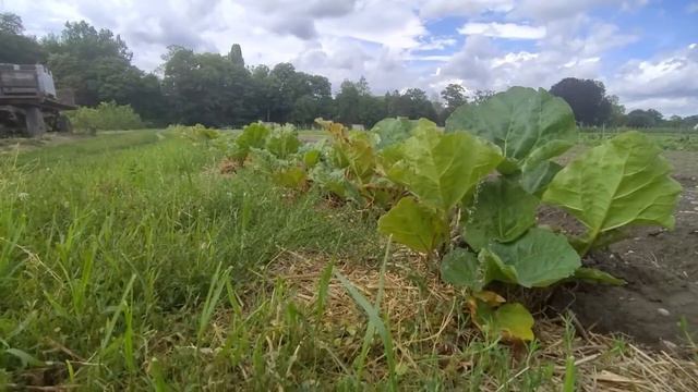 Documentar EatSmart смотреть онлайн