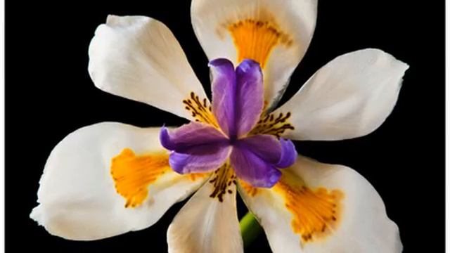 Слушать новую русскую музыку для авто онлайн смотреть онлайн