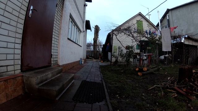 Как безопасно спилить дерево Огромное дерево в плотной застройке. Дрова для мангала, электро пила. смотреть онлайн