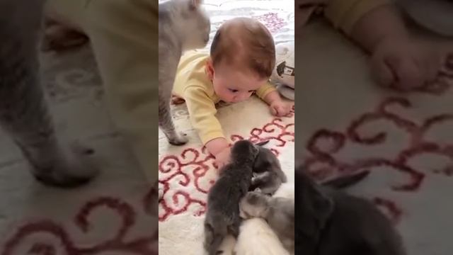 И тебя помоем смотреть онлайн