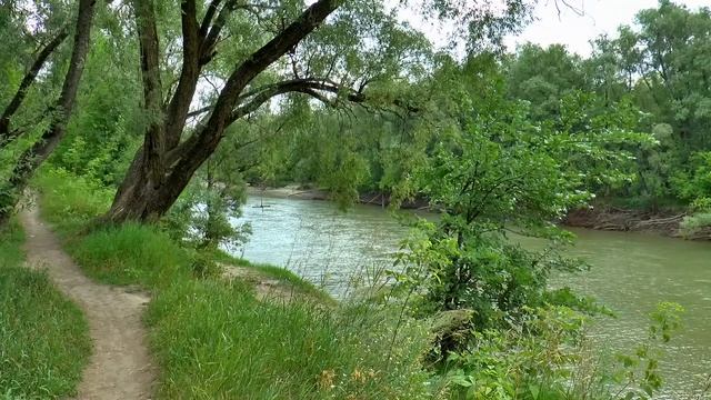 река природа смотреть онлайн