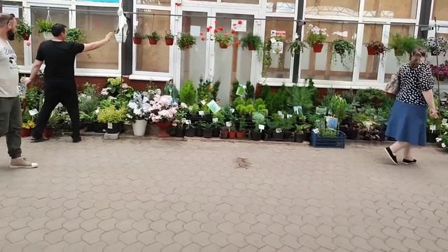 ?КЛУБНИКА НА КУБАНИ / ЦЕНЫ НА ПРОДУКТЫ 2023 / Шиндр Мындр @ShindrMindr1 смотреть онлайн