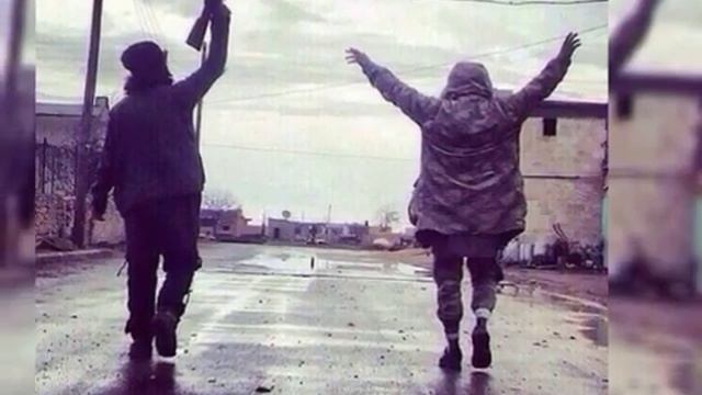Фантанчик с чёрным дельфином смотреть онлайн