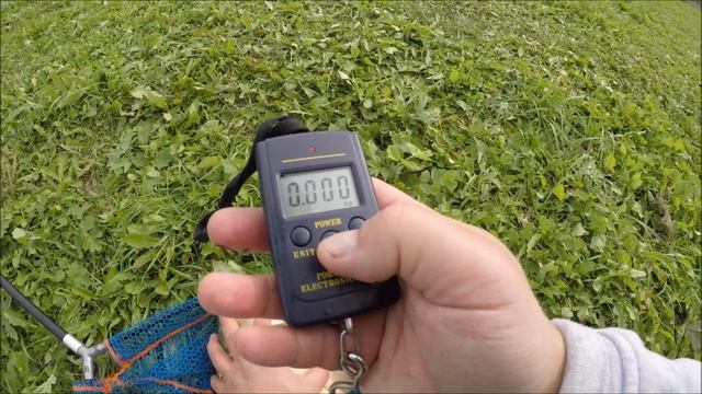 Рыбалка Отдай Удочку/Ловлю Карпа Осенью смотреть онлайн