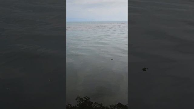 Устье реки Беслетка смотреть онлайн