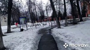 Блогер Глогер о Цифровых Деньгах😳О Недвижимости,  О Дефолте мировых валют🤔⁉️