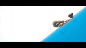 Blue Sky Studios INTRO FULL HD