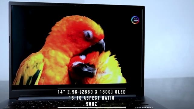 Asus Vivobook Pro 14 OLED Laptop - Exousia Review смотреть онлайн