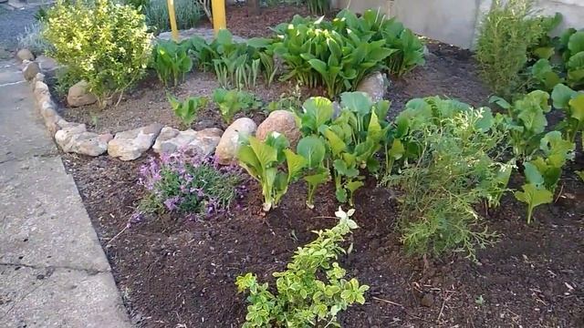 Штраф от газовой службы и перепланировка смотреть онлайн