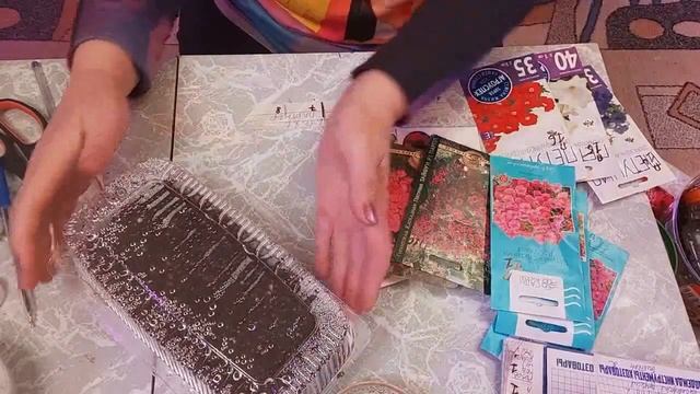 Петуния. Посев на маточники. смотреть онлайн