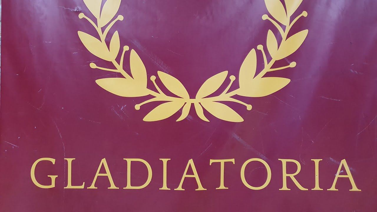 Соревнование По Фехтованию Каждый День