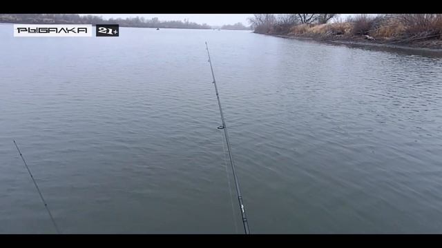 Ловля окуня на спиннинг осенью на реке Свияга (закрытие сезона). Окунь на отводной поводок смотреть онлайн