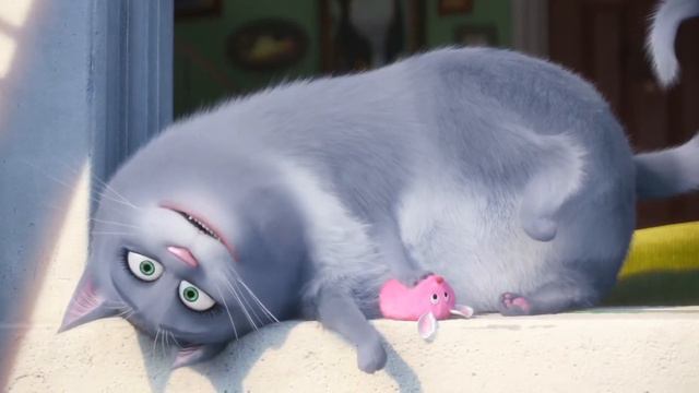 Озвучка мультфильма «Таємне життя» . Голос кота:Бойко Маргарита. смотреть онлайн